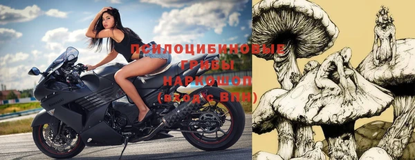 твердый Алзамай