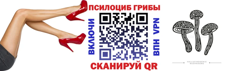 Галлюциногенные грибы Psilocybine cubensis  OMG рабочий сайт  Черкесск 