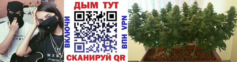 Бошки Шишки Ganja  kraken онион  Черкесск 